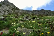 48 E qui risalgo il ripido valloncello per la cima del Pizzo Scala